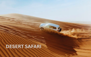 DESERT SAFARI